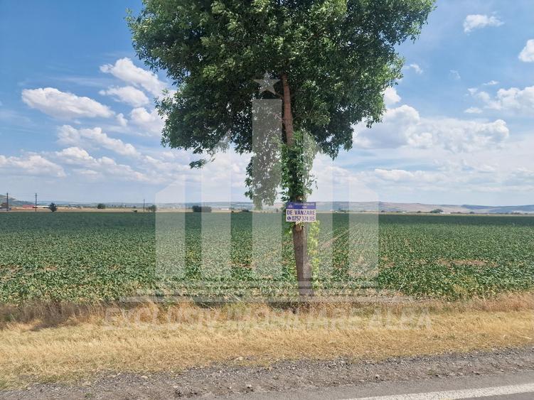 Teren agricol intravilan de 9100 mp, în Galda de Jos