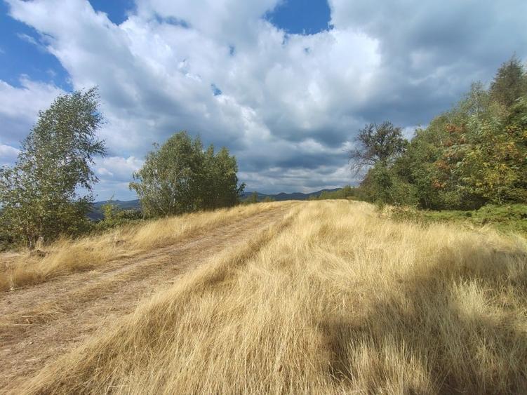 Teren Construcții extravilan de 8000 mp, în Central