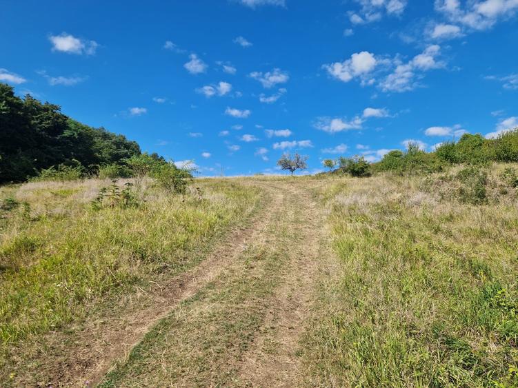 Teren Construcții extravilan de 5800 mp, în Suceagu