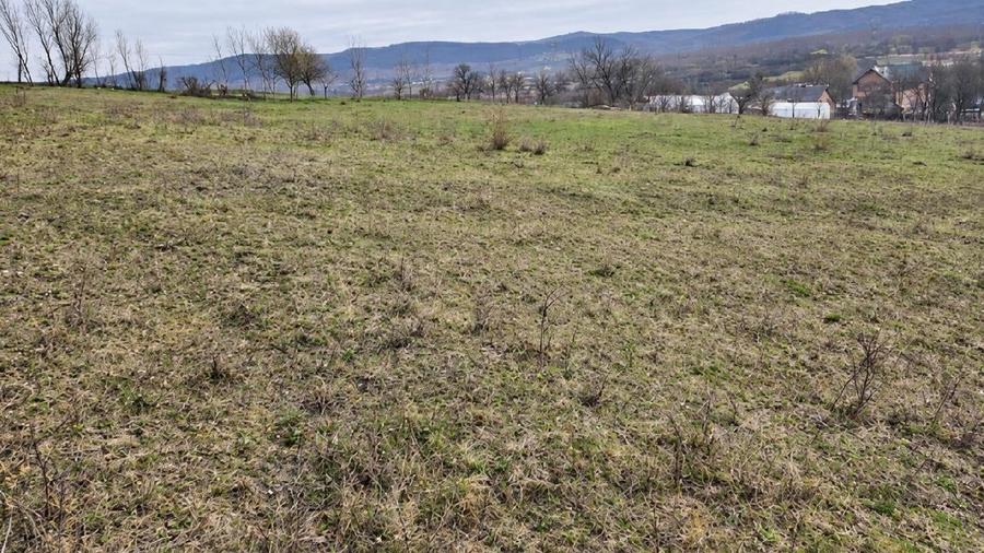 Teren agricol de 1350 mp, în Răscruci