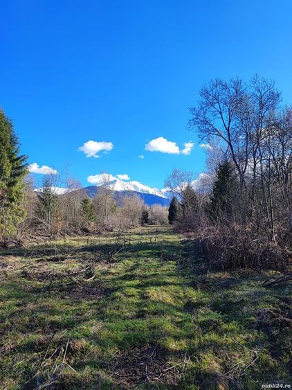 Teren de 2100 mp, în Central
