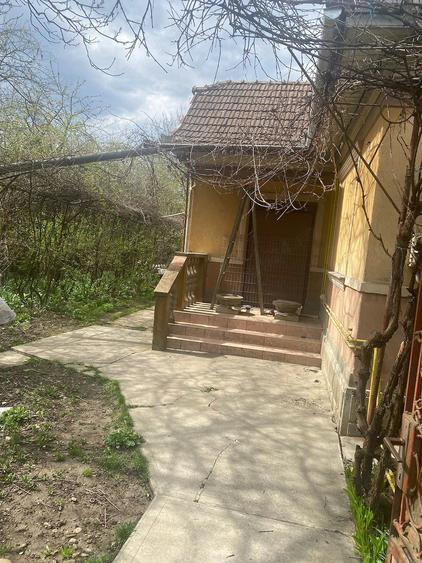 Casă în Viișoara