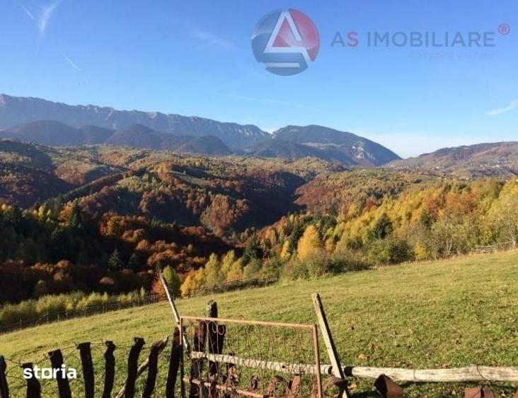 Teren de 10669 mp, în Moieciu