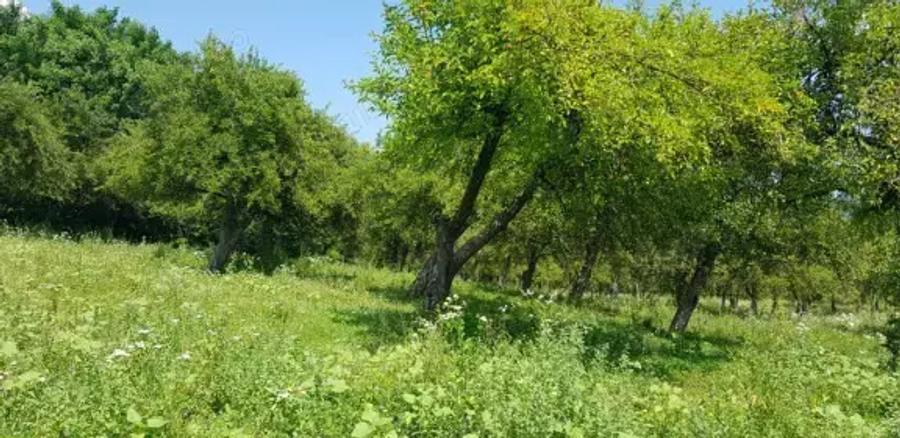 Teren de 5000 mp, în Mușcel