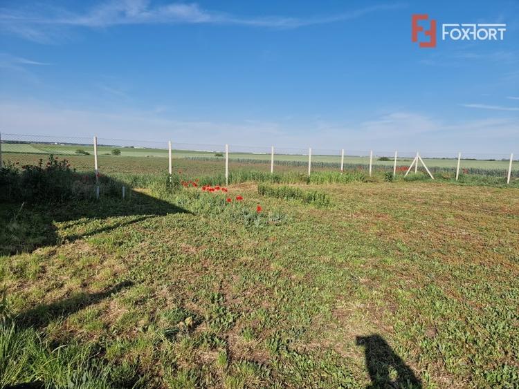 Teren agricol extravilan de 3500 mp, în Remetea Mare