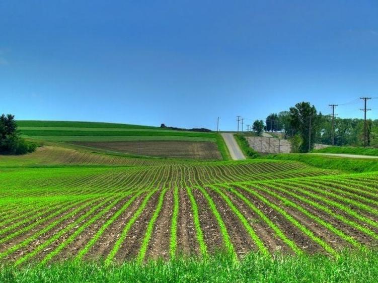 Teren de 95000 mp, în Smârdioasa