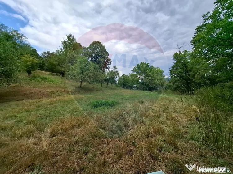 Teren de 990 mp, în Bârzava