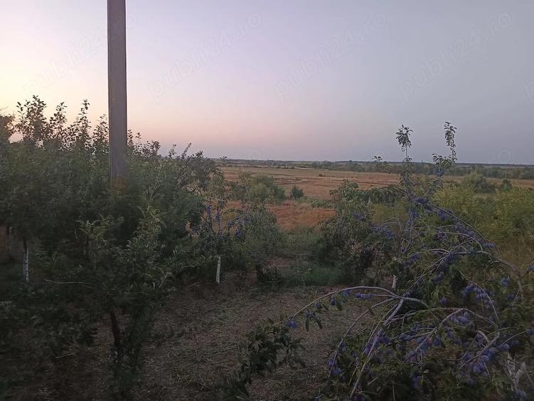 Casă cu 3 camere cu Teren 2200 Mp în Broșteni (Vișina)