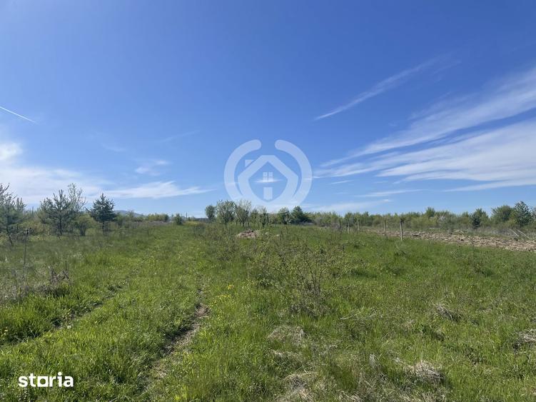 Teren de 1200 mp, în Poplaca