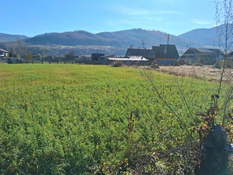Teren intravilan de 1700 mp, în Stejaru (Pângărați)