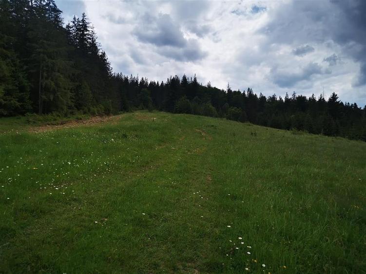 Teren intravilan de 1000 mp, în Văleni-Stânișoara