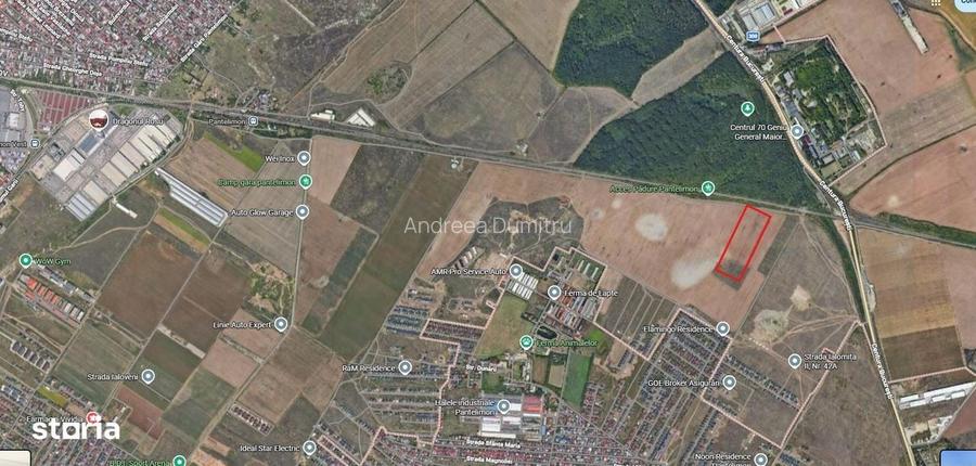 Teren intravilan 13.400 mp Pantelimon Dobroesti, deschidere 42 M