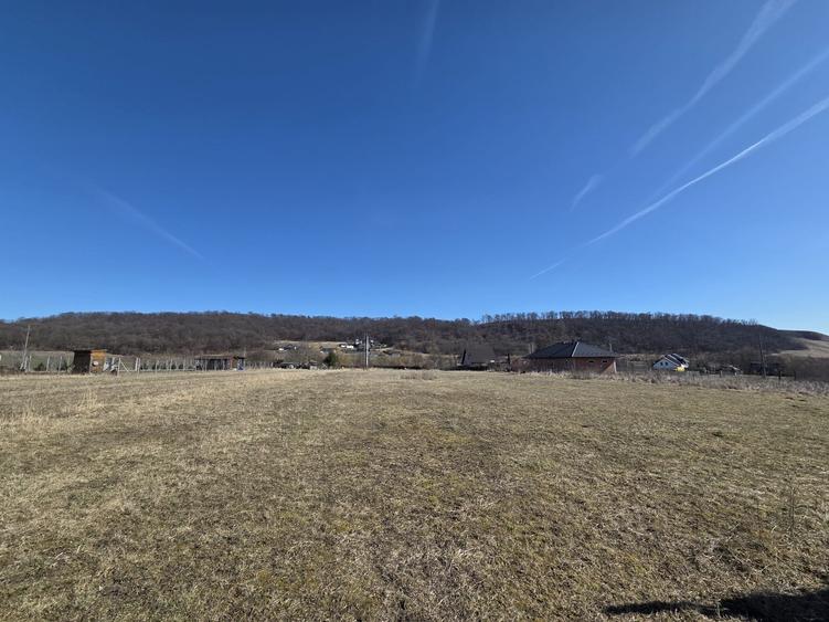 Teren de 2700 mp, în Mitocu Dragomirnei