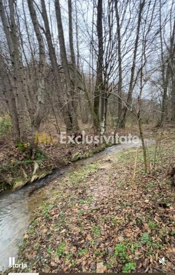 Teren intravilan 6.500 m2Deschidere 144 ml drum european E81, km 35, - 5