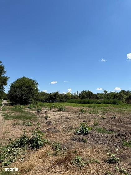 Teren de 1000 mp, în Ileana