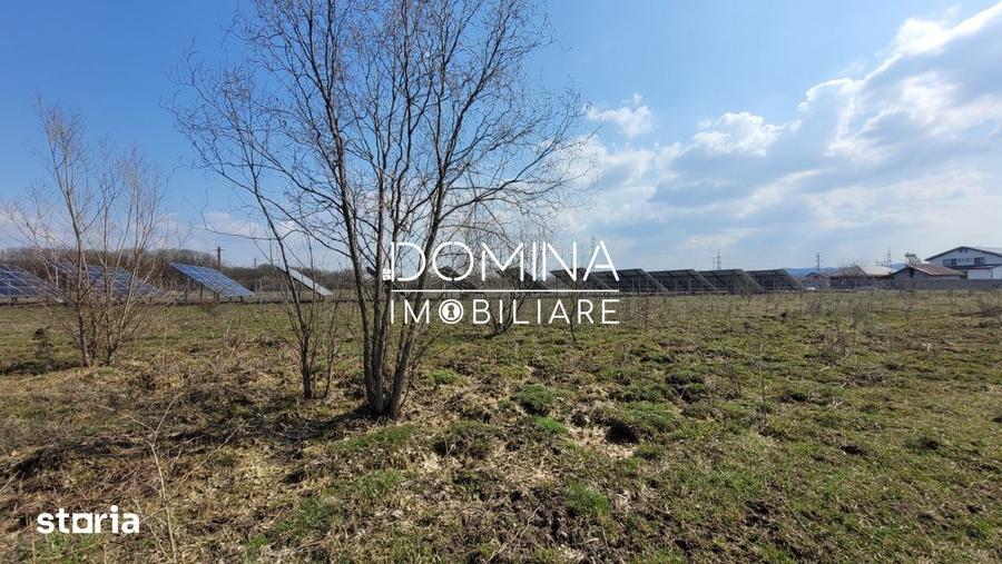 Teren de 978 mp, în Drăguțești