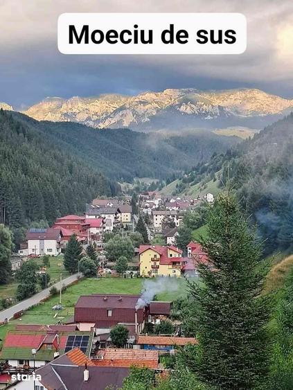 Casă cu Teren 3500 Mp în Moieciu