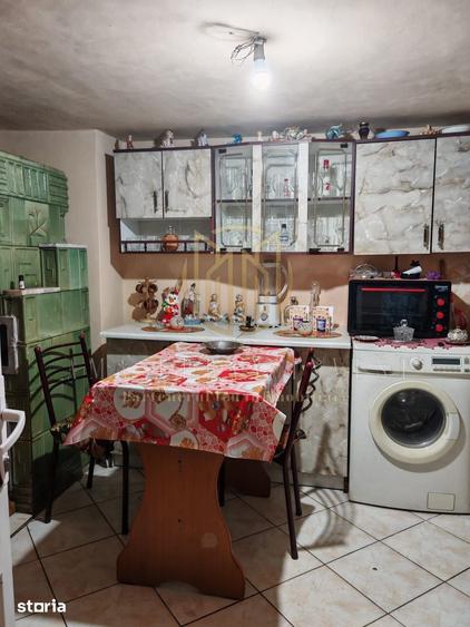Casa individuala Brancoveanu Aluni?ului - 16