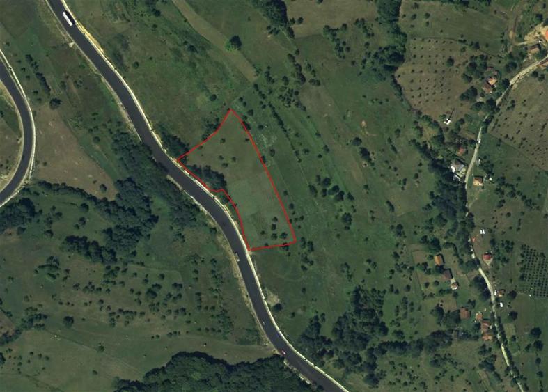 Teren Construcții intravilan de 8757 mp, în Luncoiu de Sus
