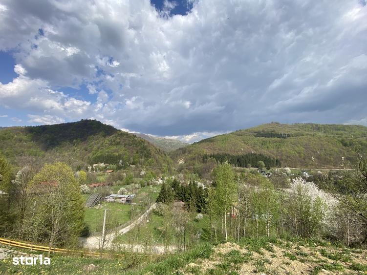 Teren de 4360 mp, în Valea Doftanei