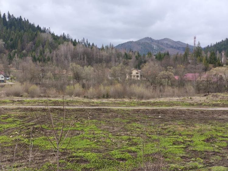 Teren Construcții intravilan de 22600 mp, în Sucevița