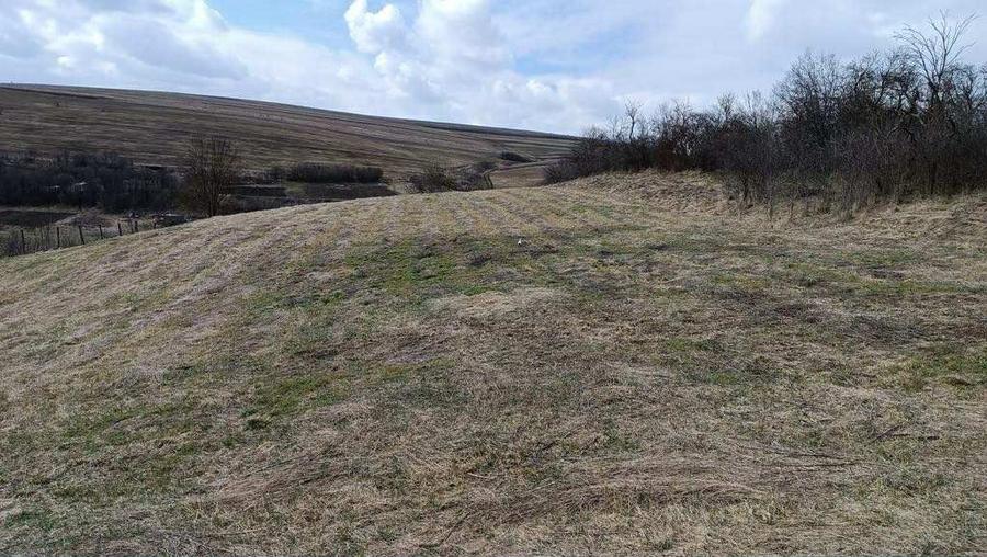 Casă individuală cu 3 camere cu Teren 5300 Mp în Mera