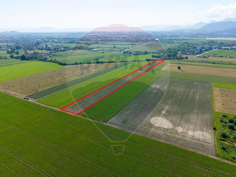 Teren agricol intravilan de 11500 mp, în IAR
