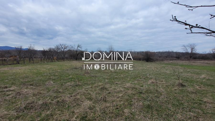 Teren Construcții intravilan de 4364 mp, în Crasna