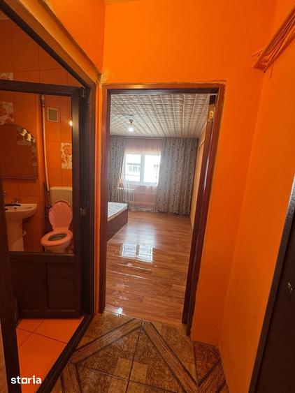 Garsonieră în Lotrului