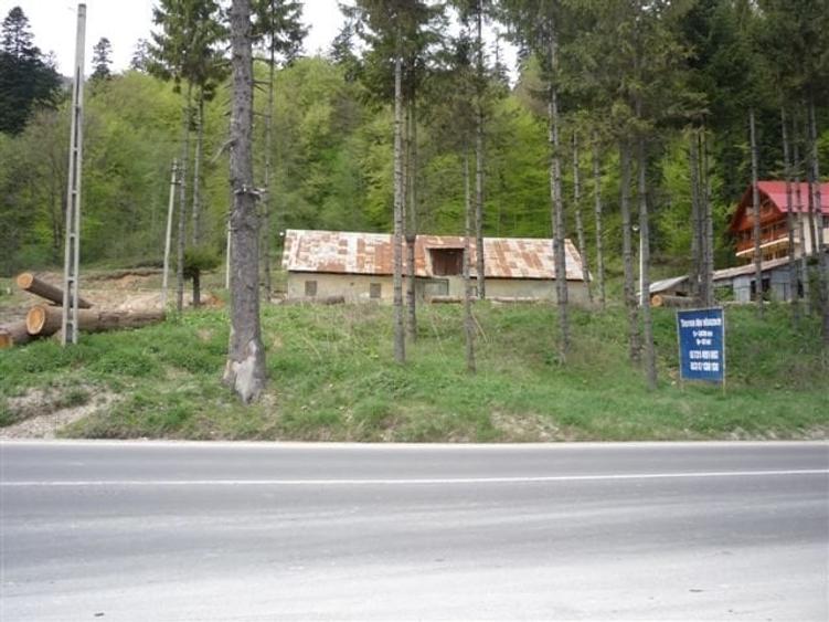 Teren Construcții intravilan de 3450 mp, în Bușteni