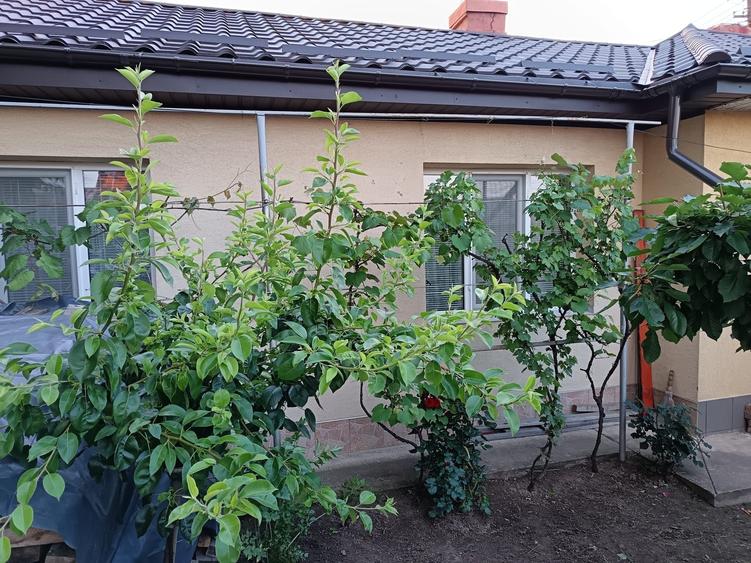 Casă cu 2 camere în Verești
