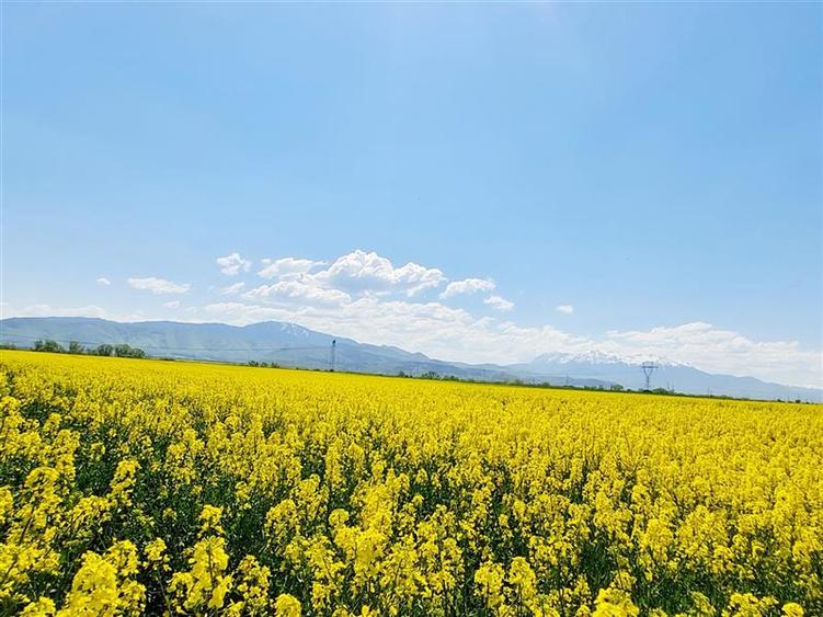 Teren agricol intravilan de 47.576999664307 mp, în Central