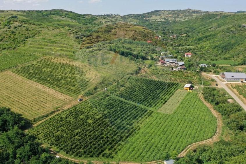 Teren Construcții intravilan de 40300 mp, în Nord