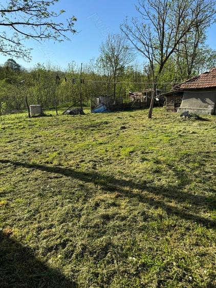 Teren de 1200 mp, în Muntenii de Jos