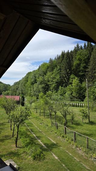 Casă cu 4 camere în Vale