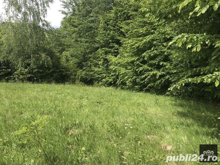 Teren de 14600 mp, în Albești