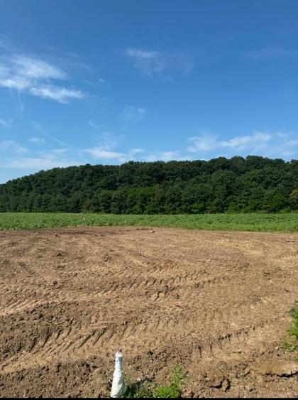 Teren Construcții intravilan de 500 mp, în Corbeanca