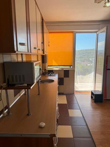 Apartament de inchiriat Dambul Rotund - 3