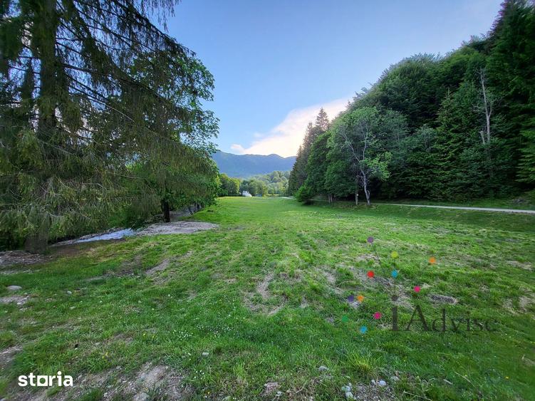 Teren de 12000 mp, în Vama Buzăului