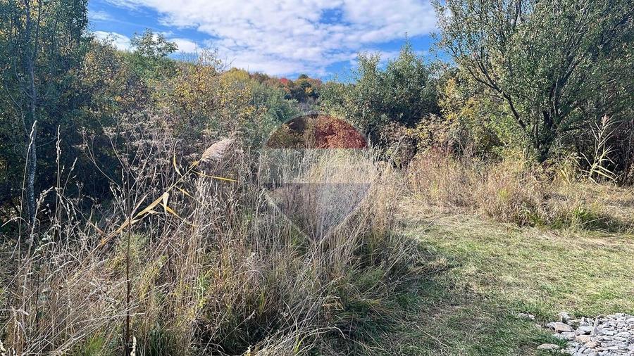 Teren agricol extravilan de 2900 mp, în Gheorghieni