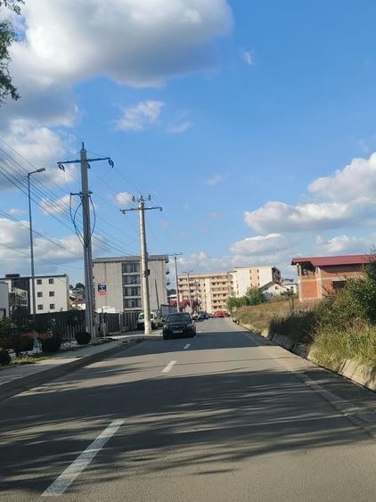 Spațiu comercial, în Vișan