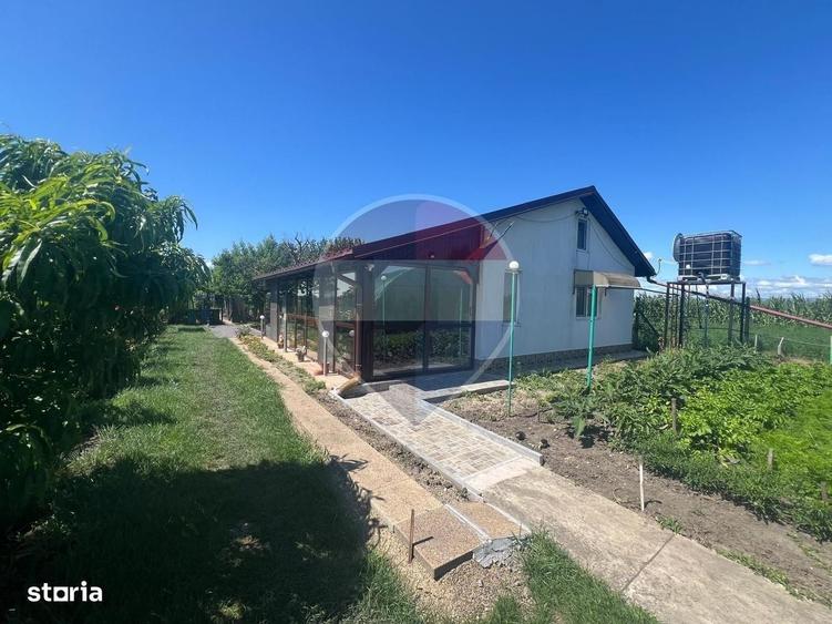 Casă cu 2 camere în Gologanu
