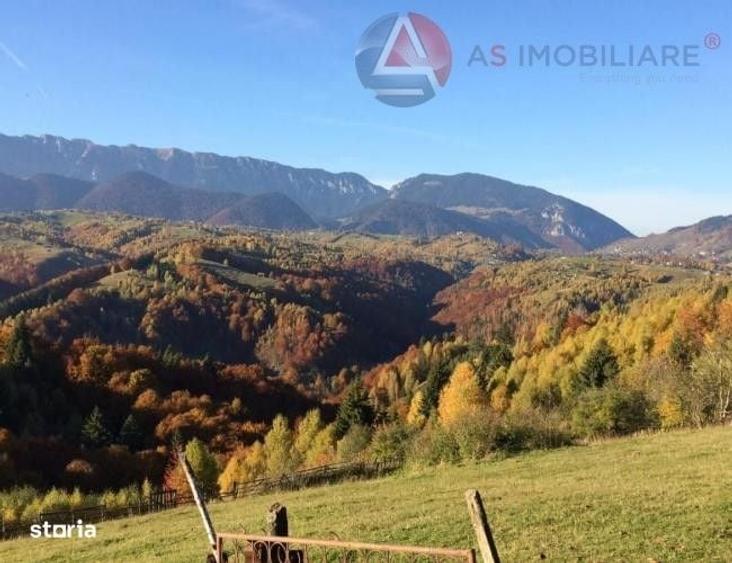 Spațiu comercial, în Drumul Carului