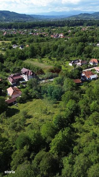 Casa de vanzare in natura la tara - Mihaesti - 8