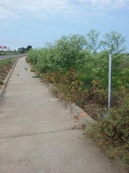 Teren Construcții intravilan de 4000 mp, în Sud