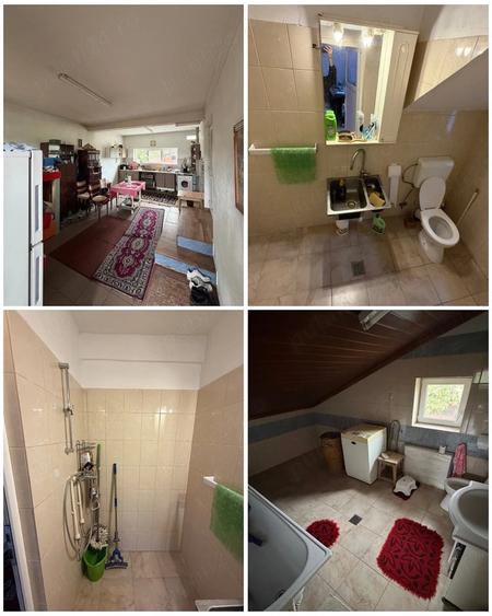 Casă cu 3 camere cu Teren 8300 Mp în Crevedia Mare
