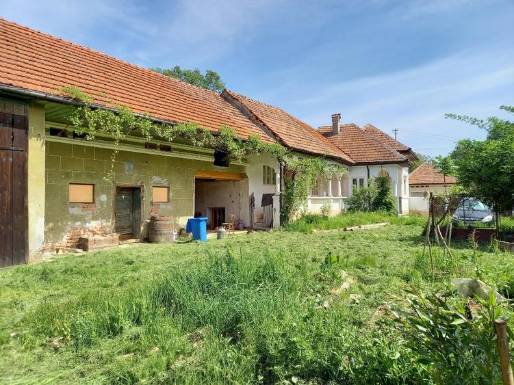 Casă individuală cu 3 camere cu Teren 4552 Mp în Voivodeni