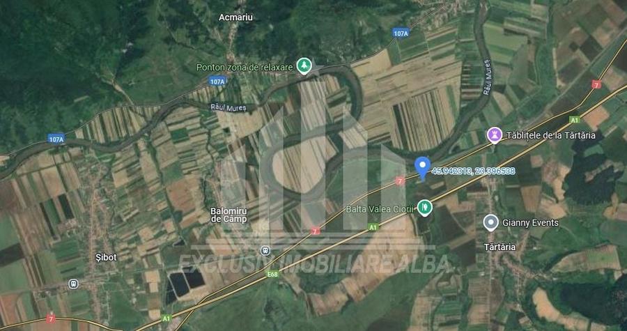 Teren agricol extravilan de 15800 mp, în Tărtăria