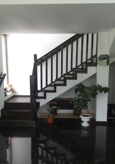 Casă cu 4 camere în Vișan