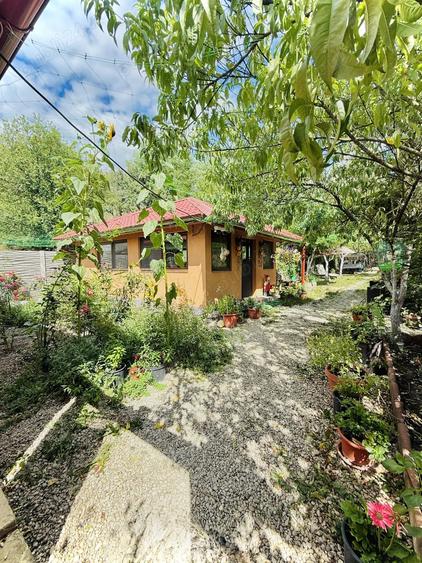 Casă cu 6 camere în Crivina